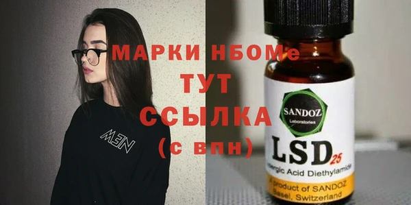 стаф Богданович