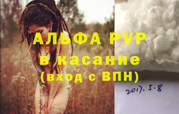 стаф Богданович