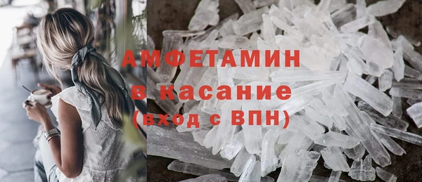 стаф Богданович