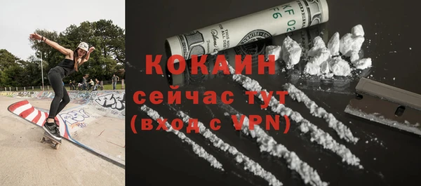 стаф Богданович