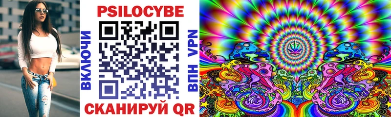 Псилоцибиновые грибы прущие грибы  Чудово 